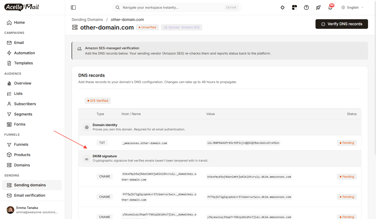 The DNS records AcelleMail shows for a domain synced with Amazon SES