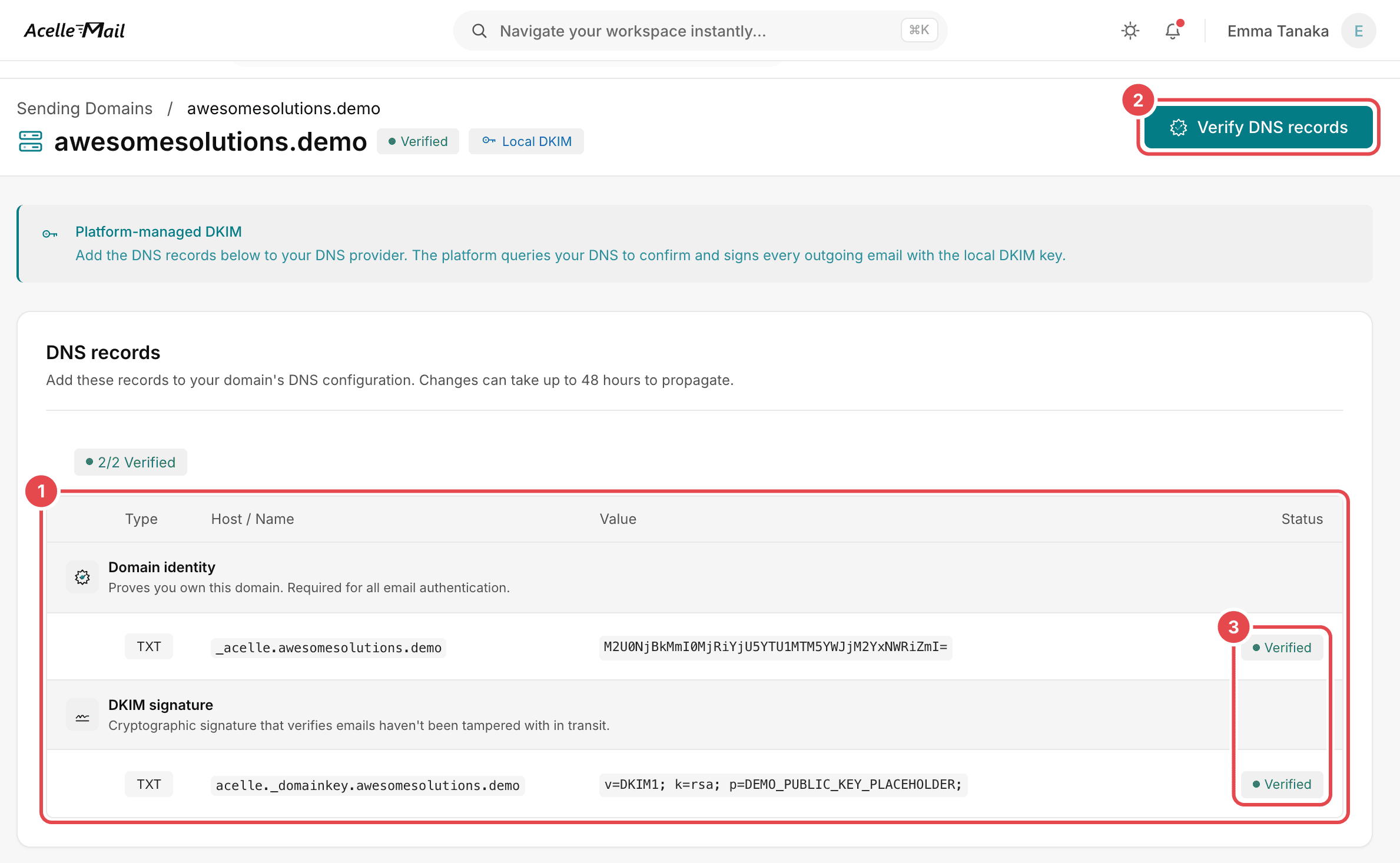 The page of a verified sending domain in AcelleMail, with three marks: 1 the DNS records table, which lists the Domain identity and DKIM signature records with their type, host and value, 2 the Verify DNS records button, and 3 the Verified status of each record.