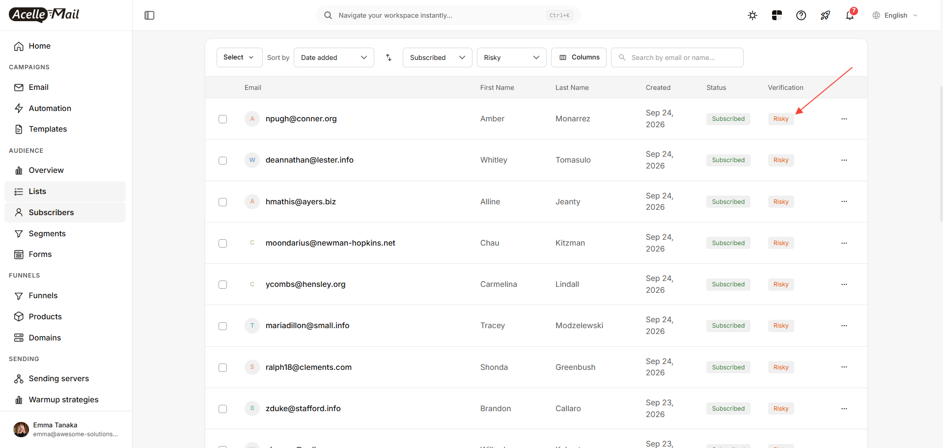 The subscribers table filtered to Risky, with a Verification badge on each row